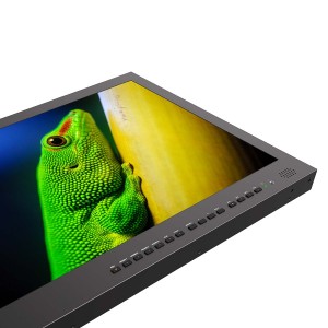 28 inch carry on 4K Broadcast director monitor