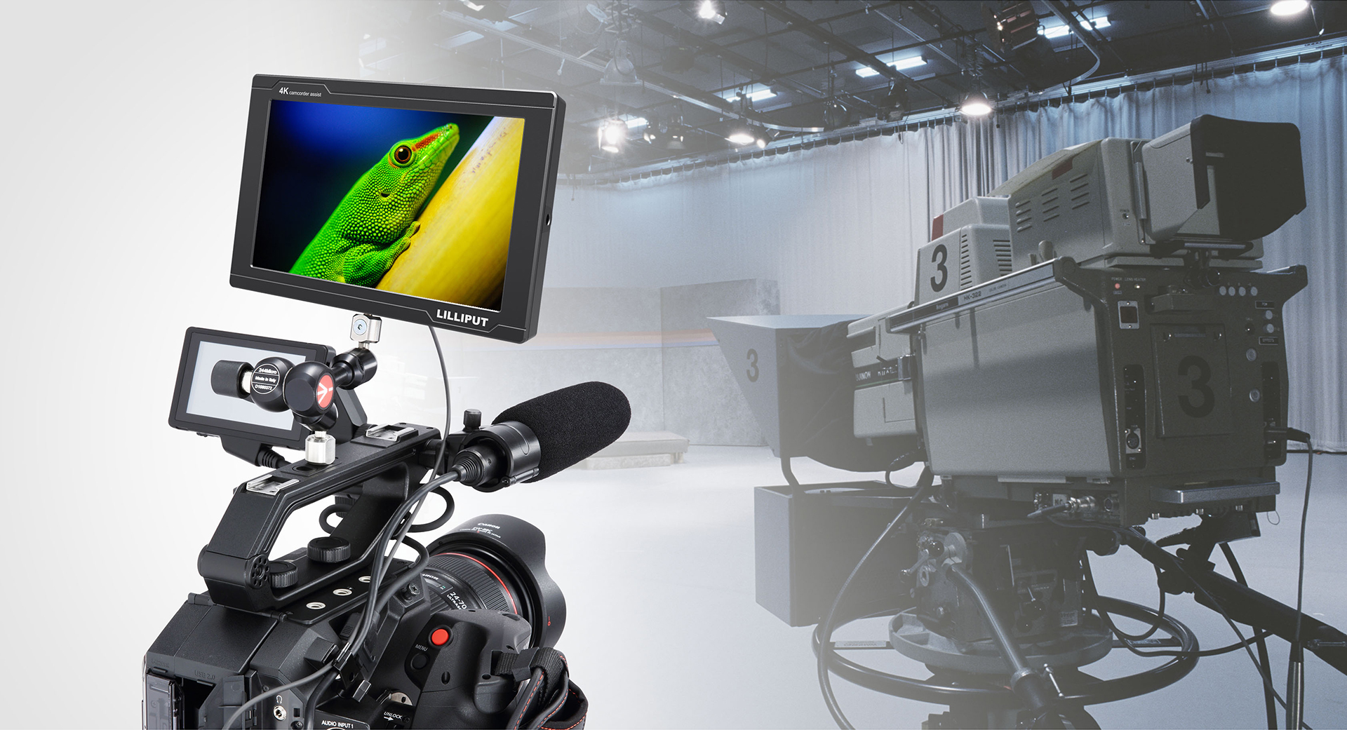 FS7_ (2)